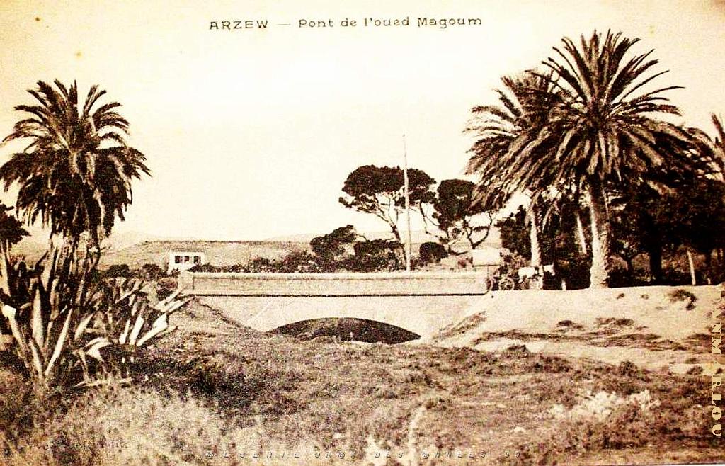 ARZEW 288.jpg